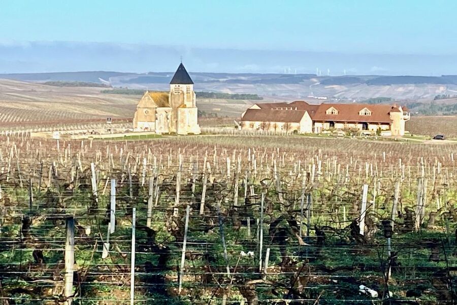 15 Burgundy Wines Chateau Pommard, Chablis Small-Group - Chablis Village Break: Lunch On Your Terms In A Small Town Setting