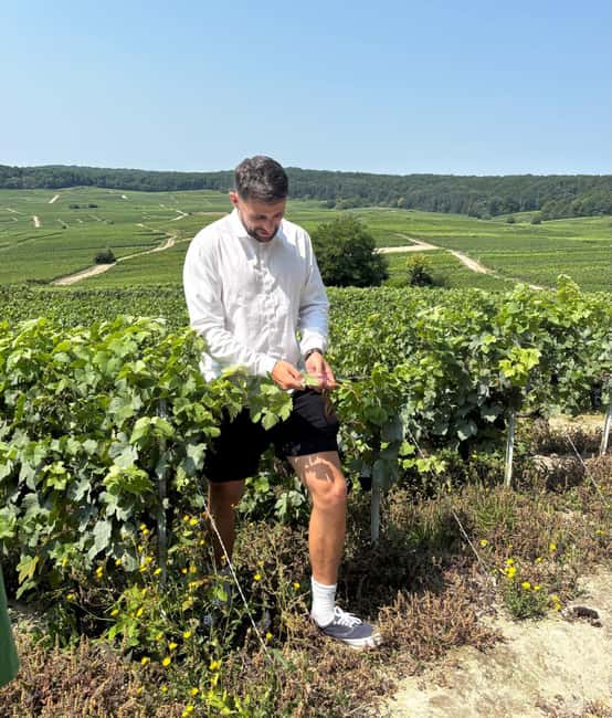 Atypical Champagne tasting with a great view - Key highlights at a glance