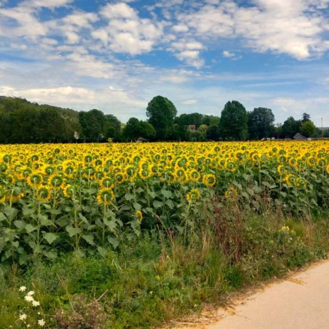 Bike tour from Vernon to Giverny with local guide - How long is this really, and what’s a good plan for your day?