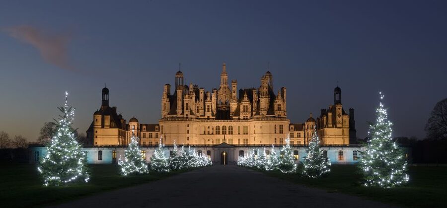 Chambord: Entry Ticket to the Castle - The 20-Minute Film and Visitor Guide: How to Get More Out of the Rooms