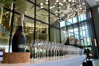 Champagne and Reims Tasting Day Trip from Paris