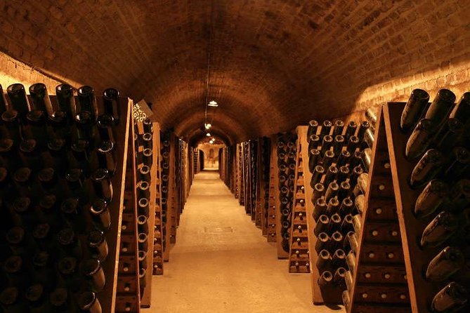 Champagne and Reims Tasting Day Trip from Paris - Notre-Dame de Reims cathedral: coronations and Gothic grandeur in real time