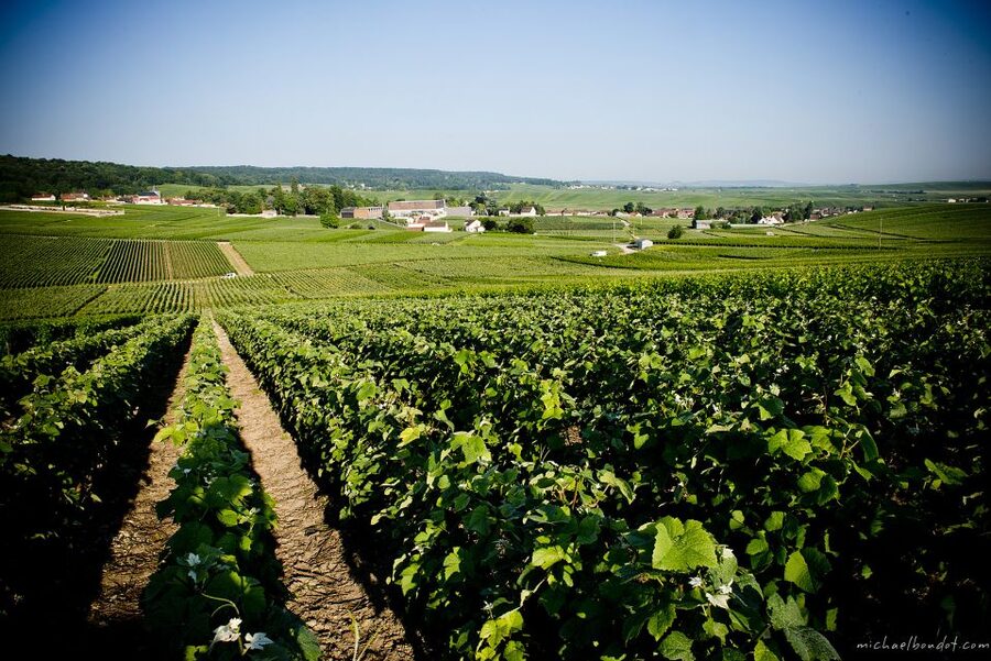 Champagne: Canard-Duchêne Champagne House Tour - Champagne House Tasting: Decouverte, Liberté, and Charles VII
