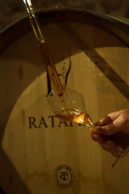 Champagne Cellar Experience: Explore our historic cellars - A Small-House Champagne Cellar Tour at Champagne Harlin Père & Fils