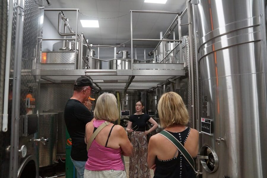 Champagne Cellar Experience: Explore our historic cellars - Who Should Book This Tour (and Who Might Want to Skip)