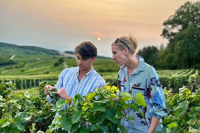 Champagne Day Trip from Paris with 8 Tastings & Lunch - Quick hits you will feel right away