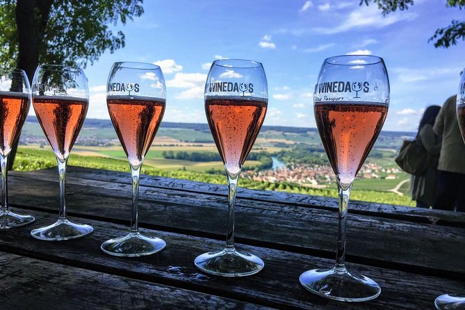 Champagne Day Trip from Paris with 8 Tastings & Lunch - Reims or Épernay first stop: stepping into a real cellar