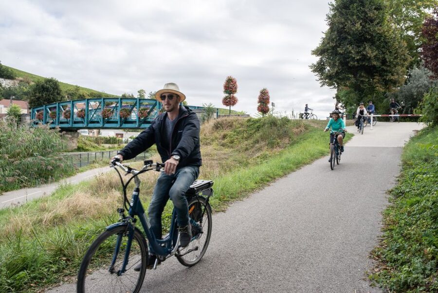 Champagne: E-Bike Champagne Day Tour with Tastings and Lunch - Should You Book This Champagne E-Bike Day Tour?