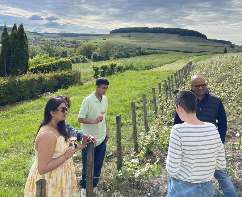 Champagne Munoz Bruneau : Half Day Visit and Tasting - Should You Book Champagne Munoz Bruneau: Half Day Visit and Tasting?