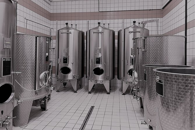 Champagne Munoz Bruneau : Half Day Visit and Tasting - Champagne Munoz Bruneau in the Marne Valley: Vineyards, Cellars, and Real Work