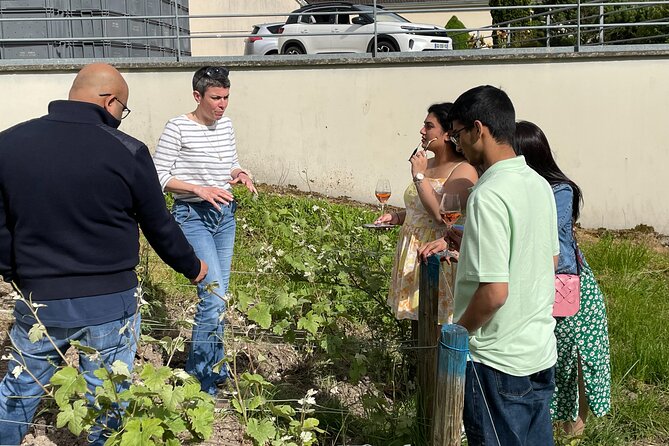 Champagne Munoz Bruneau : Half Day Visit and Tasting - What a Half-Day Really Means for Your Day Plan