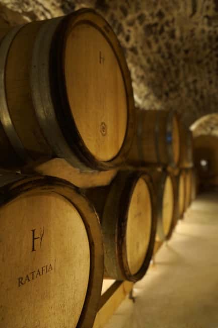 Champagne Vineyard Experience: Delve into the terroir - Key points if you care about the details