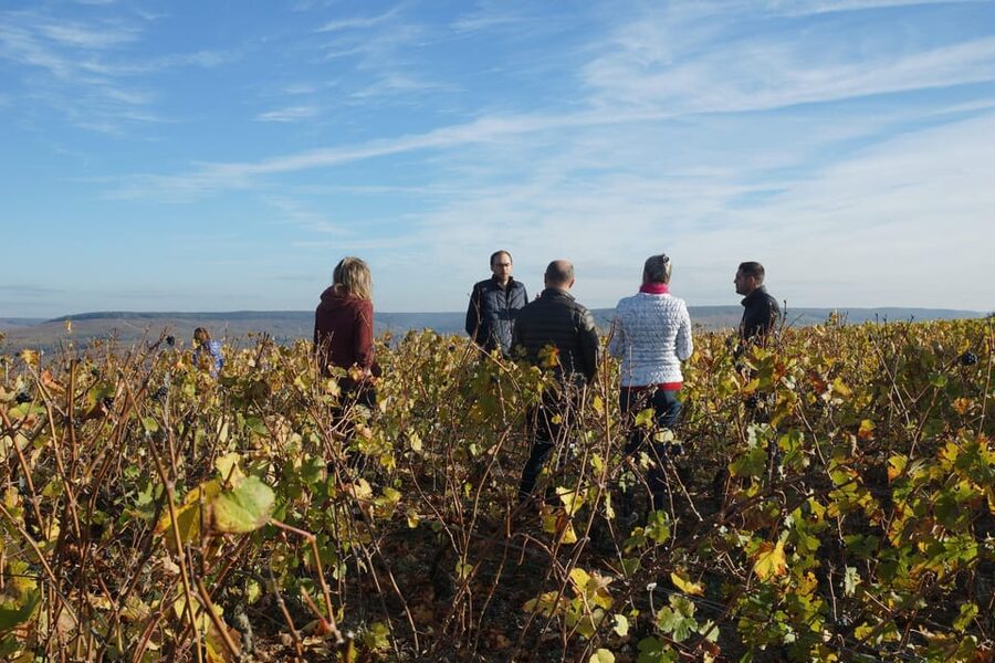 Champagne Vineyard Experience: Delve into the terroir - The tastings: champagnes, then Ratafia Champenois