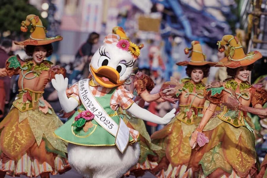 Disneyland® Paris Tickets and Shuttle Transport - Key Things That Make This Shuttle-Ticket Combo Worth Your Time