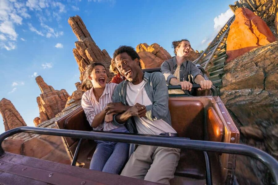 Disneyland® Paris Tickets and Shuttle Transport - Who This Tour Suits Best