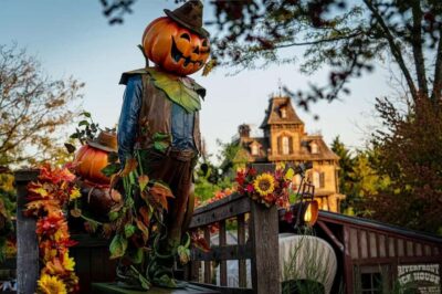 Disneyland® Paris Tickets and Shuttle Transport