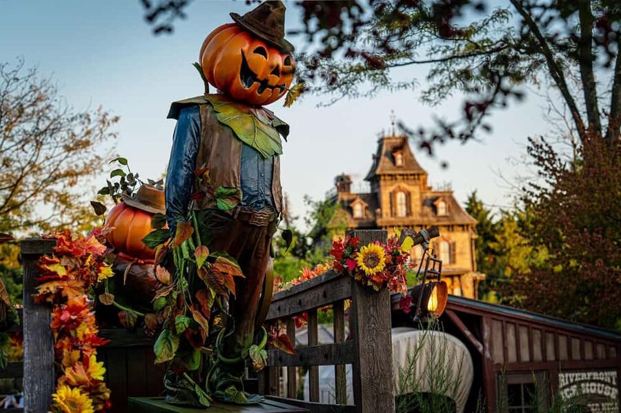 Disneyland® Paris Tickets and Shuttle Transport - The Shuttle Ride: What the Bus Does Right (and What to Watch For)