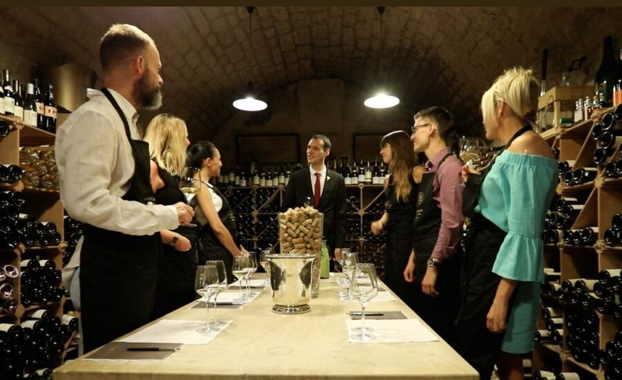 Exclusive Wine Day Trip Loire Valley from Paris - Key Highlights You Will Actually Notice