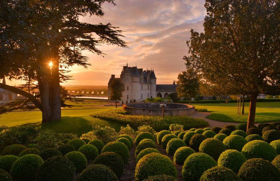 Exclusive Wine Day Trip Loire Valley from Paris - Price and Value: Is $329 a Fair Trade for a Full Day?