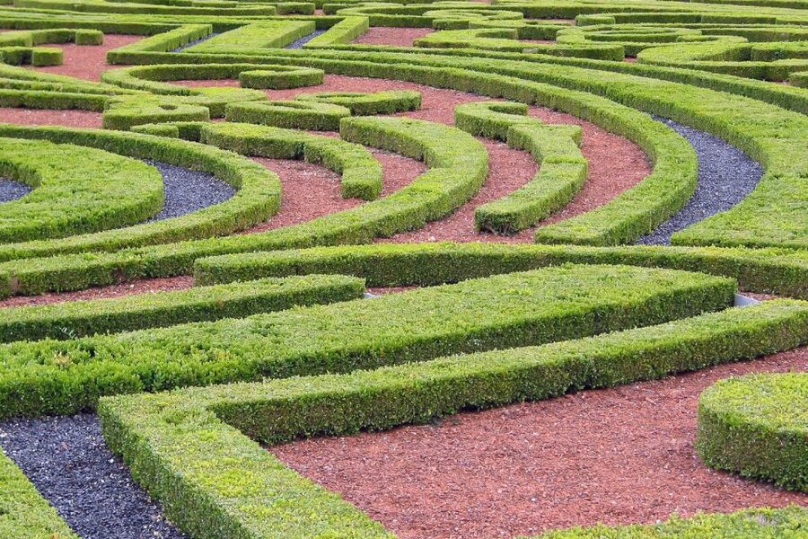 Fontainebleau & Vaux-le-Vicomte Châteaux Day Tour from Paris - Who should book this day tour, and who should skip it
