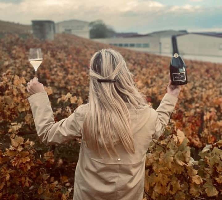 From Paris: Champagne Day Trip with 7 Tastings and Lunch - Practical Comfort Notes: Walks, Hills, No Strollers, and One Heat Reality