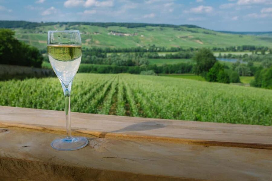 From Paris: Champagne Day Trip with 7 Tastings and Lunch - The Guide and Driver Factor: English, Humor, and Extra Context