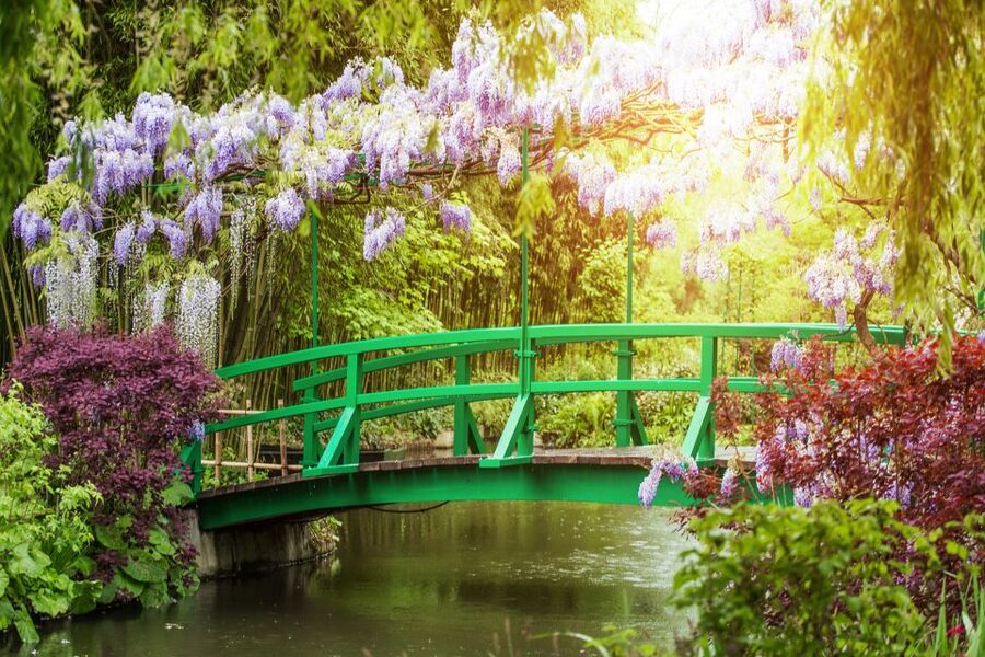 From Paris: Giverny and Versailles Palace Guided Day Trip - Versailles Gardens: Your Time to Walk, Breathe, and See It With Your Own Eyes