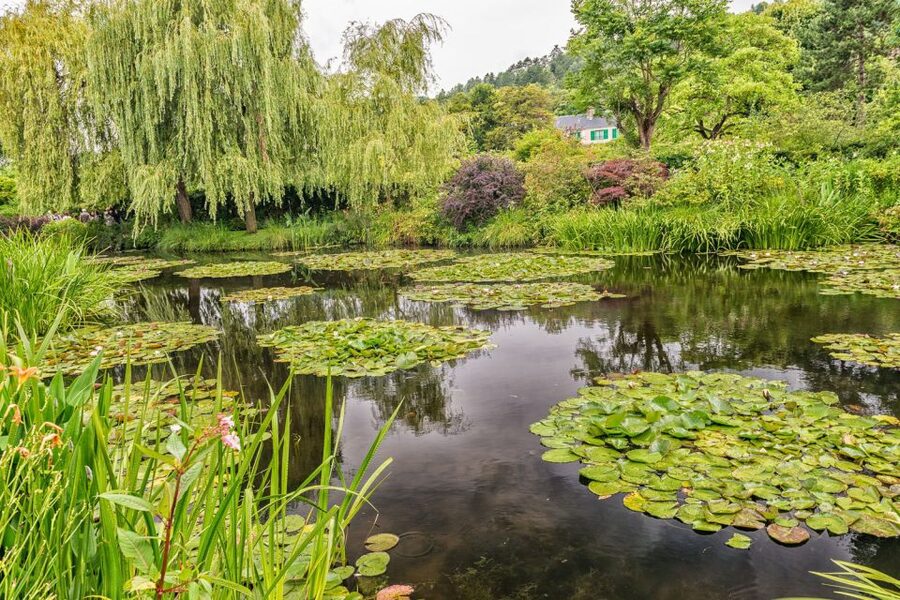 From Paris: Guided Day Trip to Monet's Garden in Giverny - Why Giverny Feels Like Monet’s World, Not Just a Photo Stop