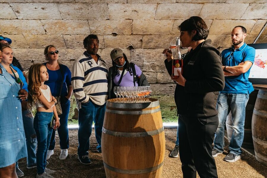 From Paris: Loire Valley Castles Day Trip With Wine Tasting - Why This Loire Valley Castles Day Trip Fits Better Than You Think