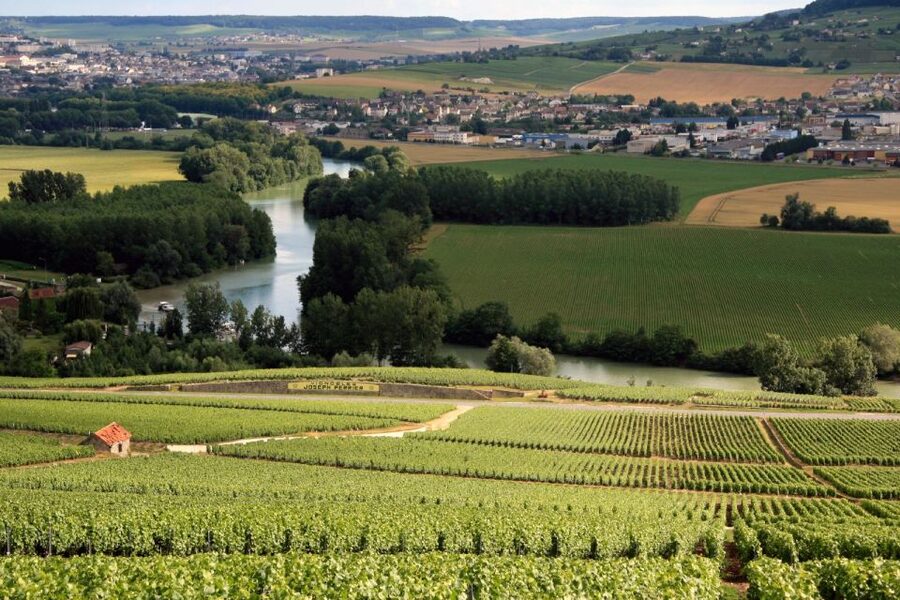 From Paris: Private Champagne Tour, Tastings at Moet&Chandon - Mercedes van comfort and private touring logistics