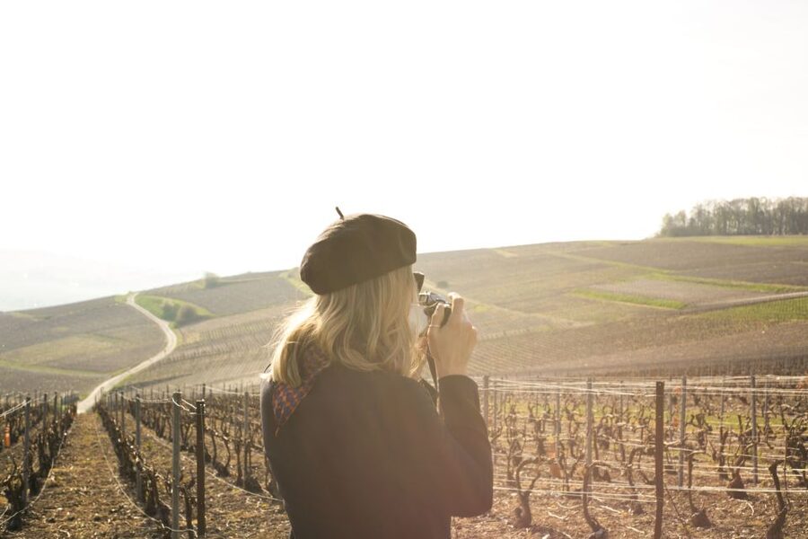 From Paris: Reims and Champagne Tasting Full-Day Tour - The Marne photo stop and tasting break
