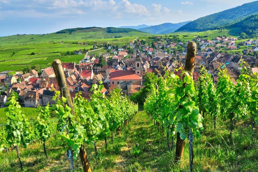 From Paris: Small-Group Champagne Day Trip with Six Tastings - A Family-Run Winery Stop: Where Champagne Starts to Feel Human