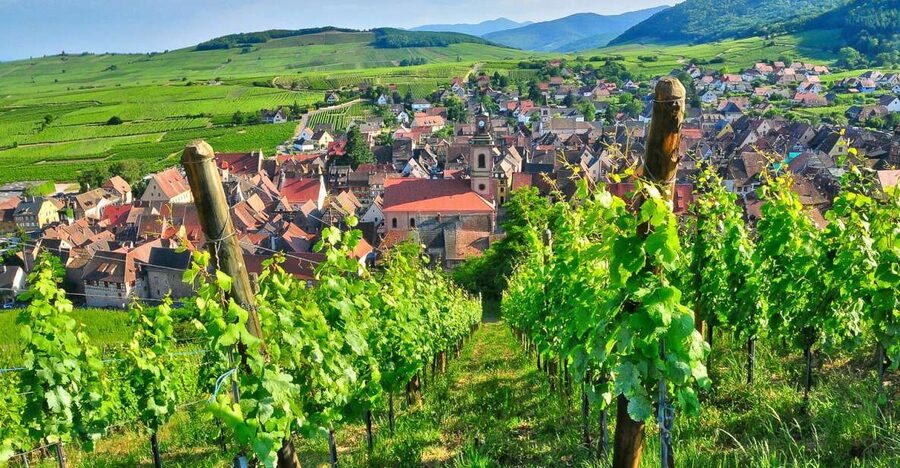 From Paris: Small-Group Champagne Day Trip with Six Tastings - From 7 AM in Paris to Champagne Territory: Why This Timing Matters