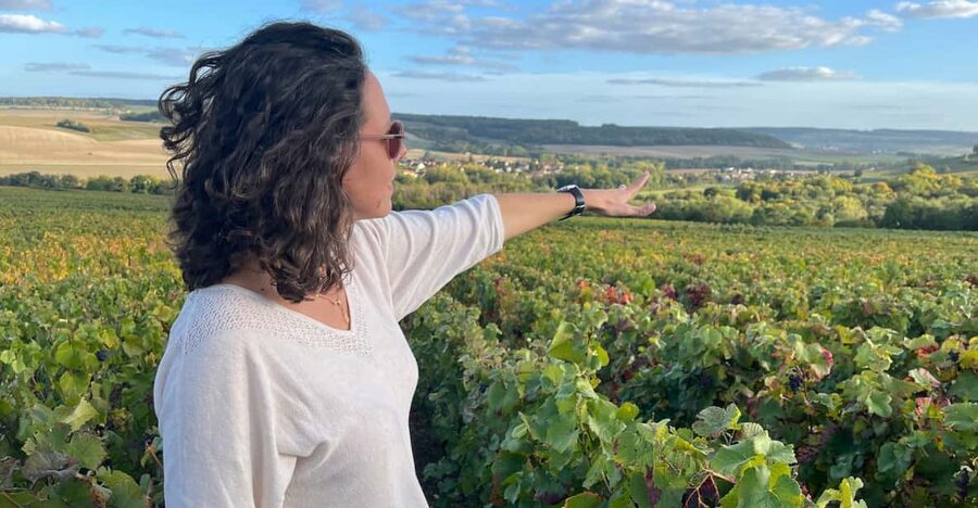From Paris: Wine Day trip to SANCERRE w 10 Tastings & Lunch - Key Things I’d Prioritize on This Sancerre Wine Day