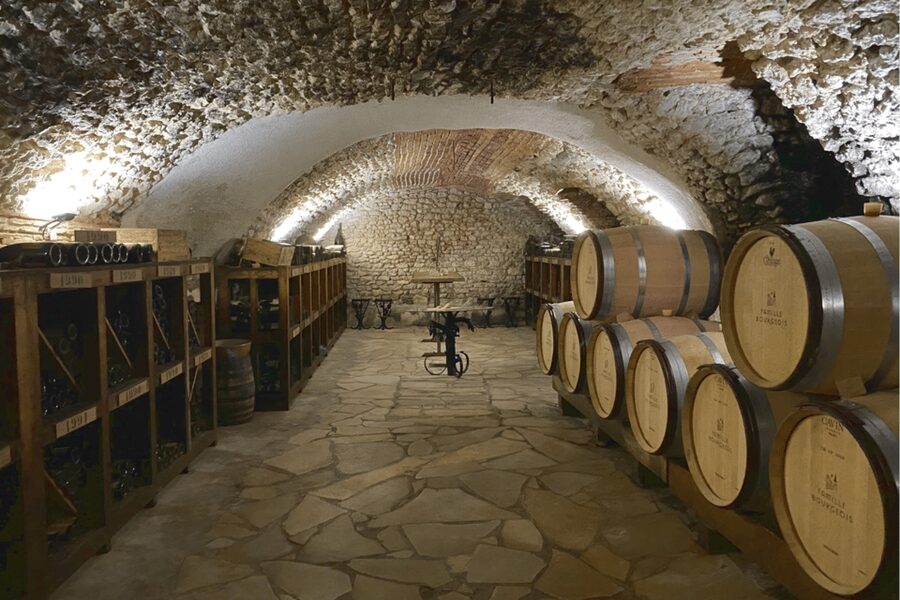 From Paris: Wine Day trip to SANCERRE w 10 Tastings & Lunch - Should You Book This Sancerre Wine Day Trip?