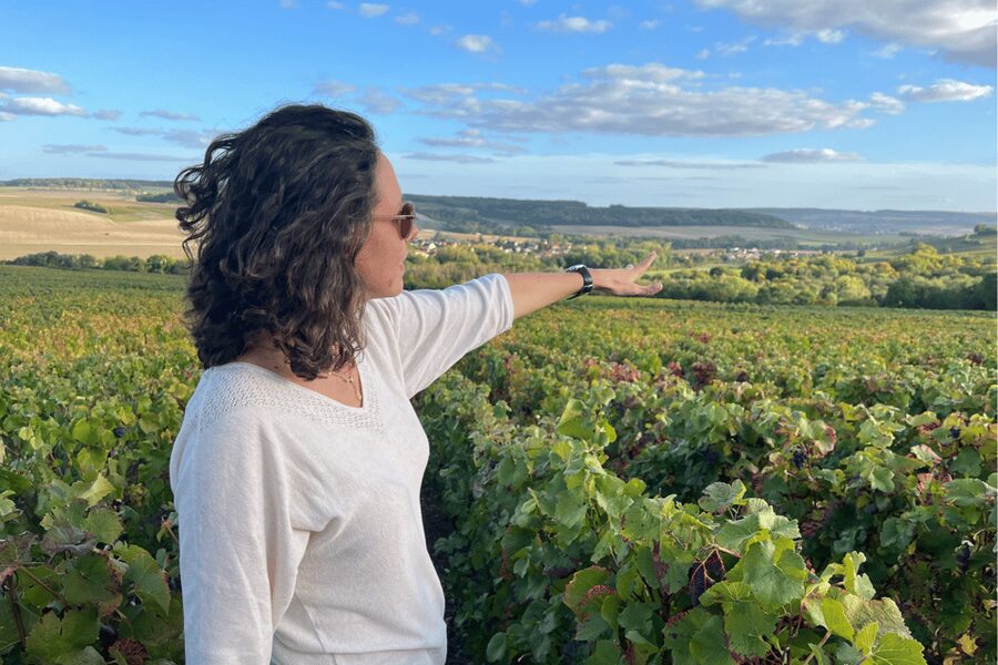 From Paris: Wine Day trip to SANCERRE w 10 Tastings & Lunch - Two Family Wineries, Cellar Tastings, and a Vineyard-Side Sip