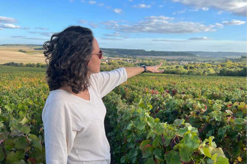 From Paris: Wine Day trip to SANCERRE w 10 Tastings & Lunch - The Morning Pickup, Croissant Start, and Terroir Lessons on the Road