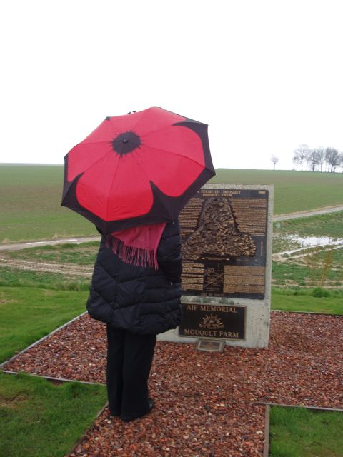 From Paris: WWI Somme Battlefields Full-Day Tour - From Paris in a single day: what an 11-hour minivan schedule does to you