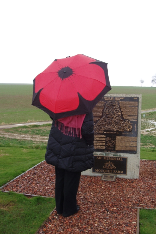 From Paris: WWI Somme Battlefields Full-Day Tour - La Boisselle and the Lochnagar Crater: the ground remembers
