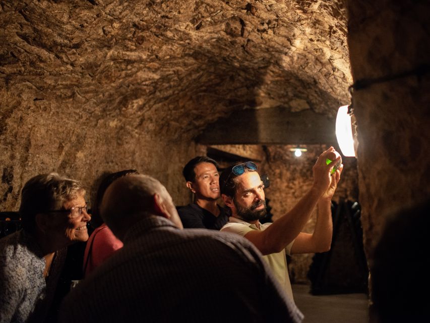 From Reims: Champagne and Family-Run Wineries Tour - Should You Book This Reims Champagne and Family Wineries Tour?