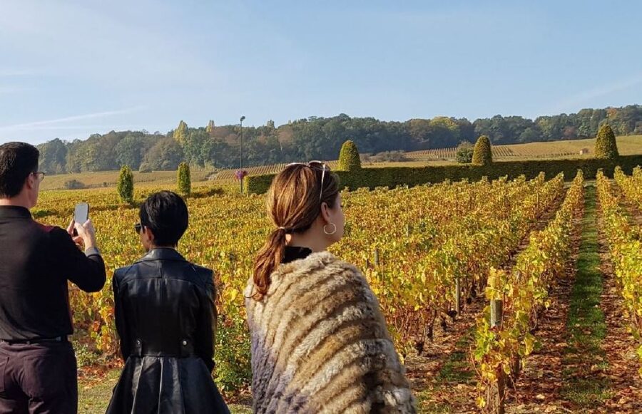 From Reims: Champagne Day Trip to 3 Family Domains & Lunch - Hautvillers: Dom Pérignon’s story in the village that shaped it