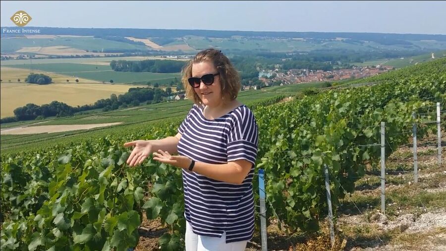 From Reims: Champagne Day Trip to 3 Family Domains & Lunch - Meeting point and pacing: the 8-hour rhythm you should expect