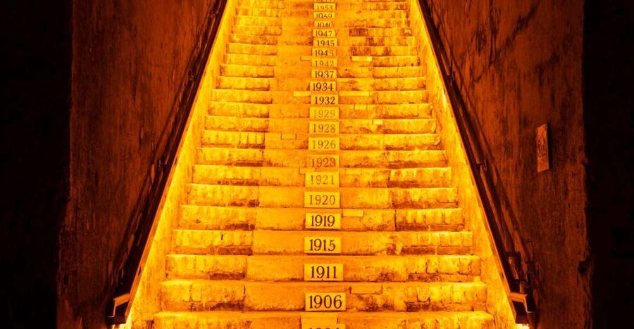 From Reims: Day Trip to Veuve Clicquot Family Grower & Lunch - Key highlights to look forward to