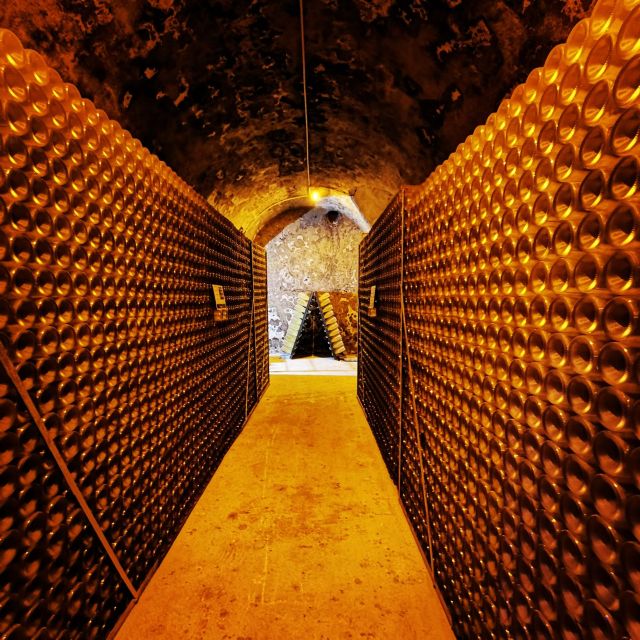 From Reims: Day Trip to Veuve Clicquot Family Grower & Lunch - The guide makes it: Pierre, Radames, and the English experience
