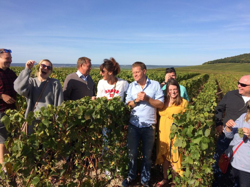 From Reims/Epernay: Champagne half-day tour (small group) - Two Champagne Domains: Why This Mix Changes How You Taste