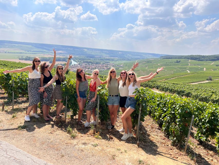From Reims/Epernay: Champagne half-day tour (small group) - Vineyard Views and the Work Behind the Bottles