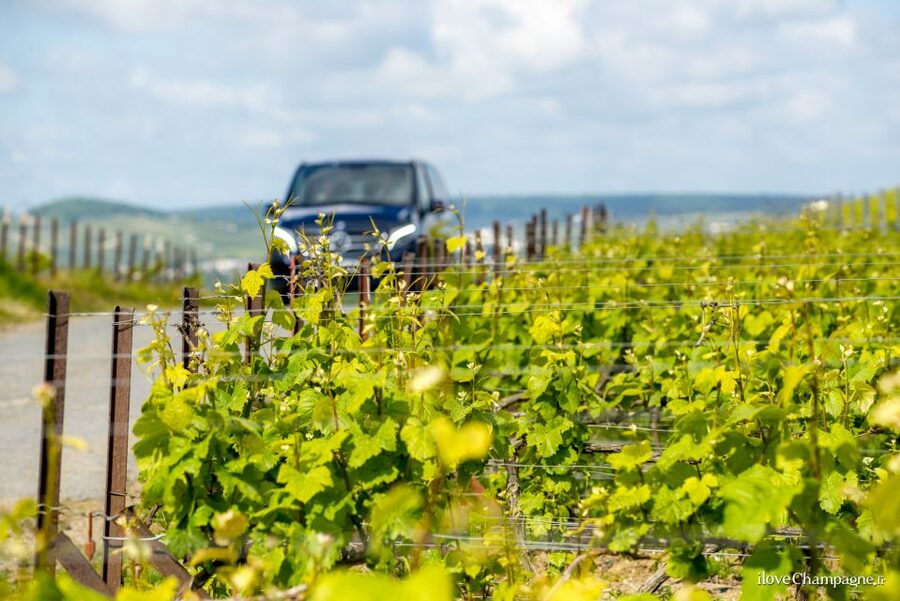 From Reims: Morning Champagne Tour and Tastings - Key Points You Should Know Before You Go