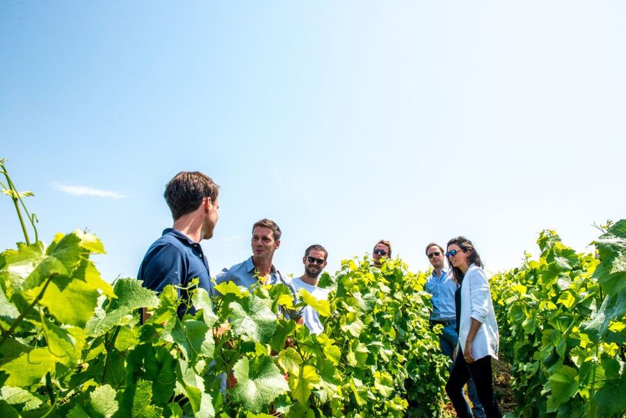 From Reims: Morning Champagne Tour and Tastings - Stop Two: Owner-Led Visits and Another Round of 3 Cuvées