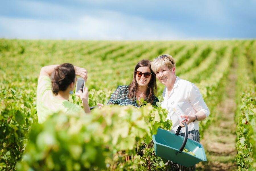 Full Day Pommery Small Group Tour - Épernay lunch break on Avenue de Champagne