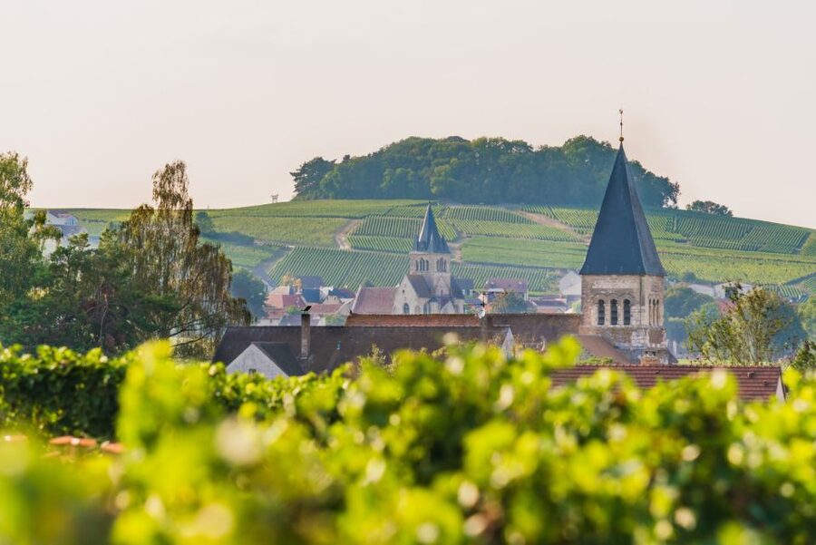 Full Day Pommery Small Group Tour - How much sipping is built into this day